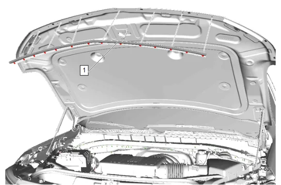 Hood Replacement — figure 1