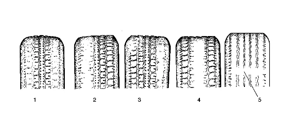 Tire Diagnosis - Irregular or Premature Wear — figure 1