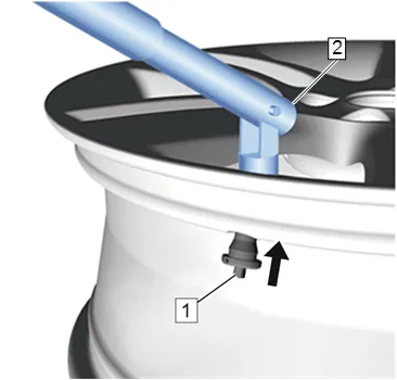Tire Valve Stem Replacement — figure 1